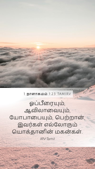 1 நாளாகமம் 1:23 TAMIRV Mobile Phone Wallpaper - ஓப்பீரையும், - Mobile Bible Verse Wallpaper