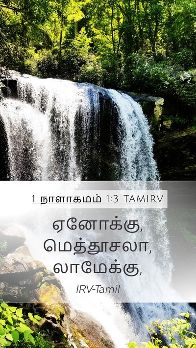 1 நாளாகமம் 1:3 TAMIRV Mobile Phone Wallpaper - ஏனோக்கு, - Mobile Bible Verse Wallpaper
