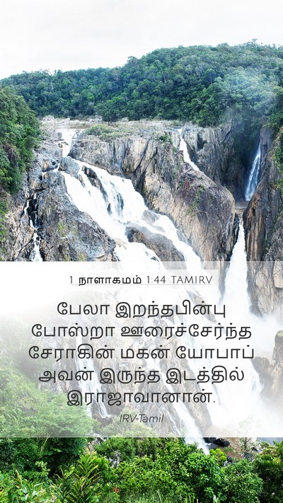 1 நாளாகமம் 1:44 TAMIRV Mobile Phone Wallpaper - பேலா இறந்தபின்பு - Mobile Bible Verse Wallpaper