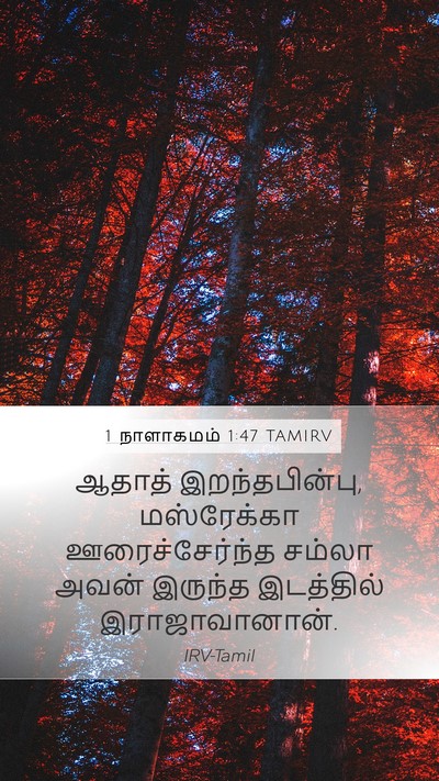 1 நாளாகமம் 1:47 TAMIRV Mobile Phone Wallpaper - ஆதாத் - Mobile Bible Verse Wallpaper