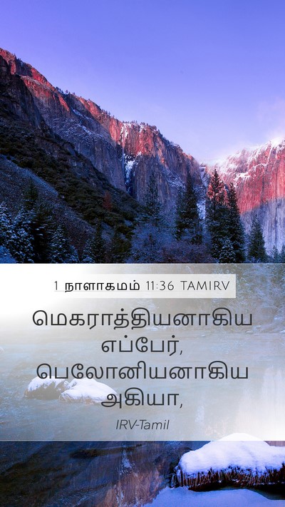 1 நாளாகமம் 11:36 TAMIRV Mobile Phone Wallpaper - மெகராத்தியனாகிய - Mobile Bible Verse Wallpaper