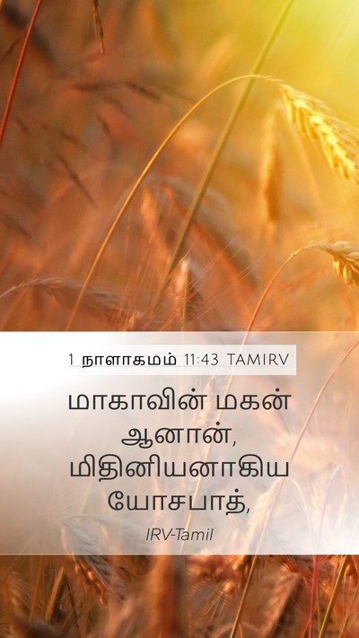 1 நாளாகமம் 11:43 TAMIRV Mobile Phone Wallpaper - மாகாவின் மகன் - Mobile Bible Verse Wallpaper