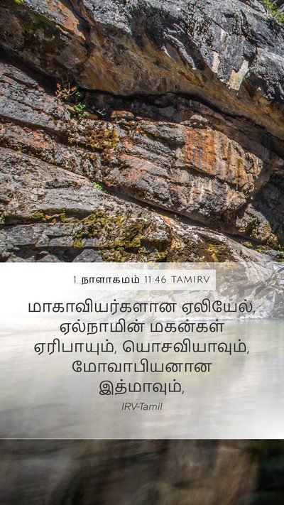 1 நாளாகமம் 11:46 TAMIRV Mobile Phone Wallpaper - மாகாவியர்களான - Mobile Bible Verse Wallpaper