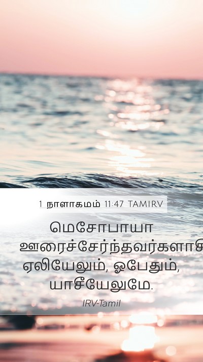 1 நாளாகமம் 11:47 TAMIRV Mobile Phone Wallpaper - மெசோபாயா - Mobile Bible Verse Wallpaper