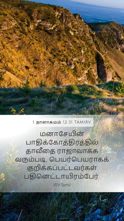 1 நாளாகமம் 12:31 TAMIRV Mobile Phone Wallpaper - மனாசேயின் - Mobile Bible Verse Wallpaper