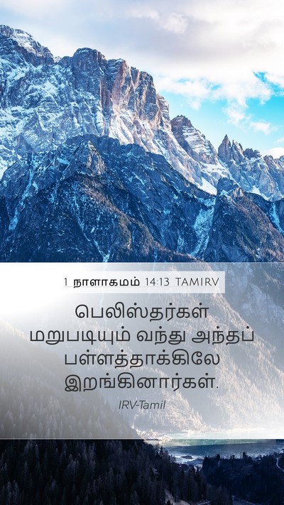 1 நாளாகமம் 14:13 TAMIRV Bible Verse Image