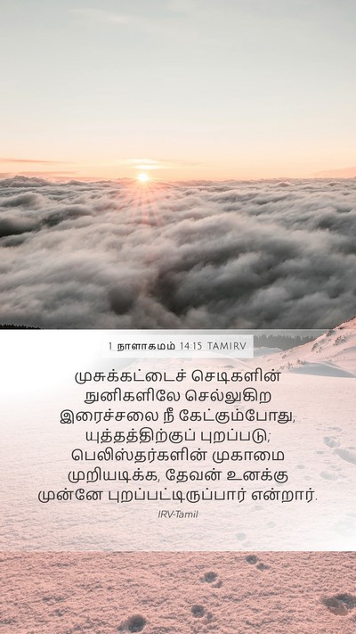 1 நாளாகமம் 14:15 TAMIRV Bible Verse Image