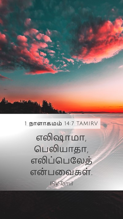 1 நாளாகமம் 14:7 TAMIRV Bible Verse Image