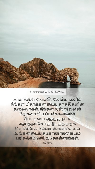 1 நாளாகமம் 15:12 TAMIRV Bible Verse Image
