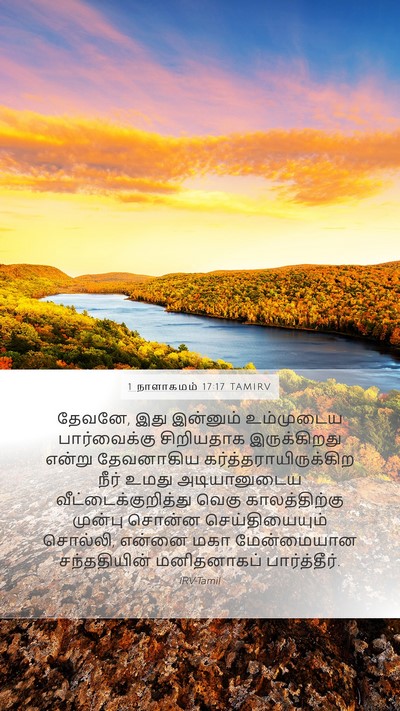 1 நாளாகமம் 17:17 TAMIRV Bible Verse Image