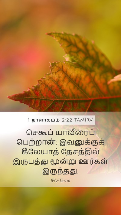 1 நாளாகமம் 2:22 TAMIRV Mobile Phone Wallpaper - செகூப் யாவீரைப் - Mobile Bible Verse Wallpaper