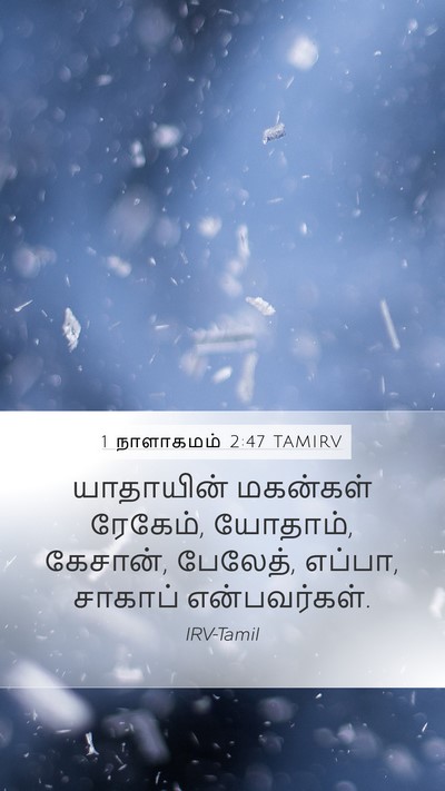 1 நாளாகமம் 2:47 TAMIRV Mobile Phone Wallpaper - யாதாயின் மகன்கள் - Mobile Bible Verse Wallpaper