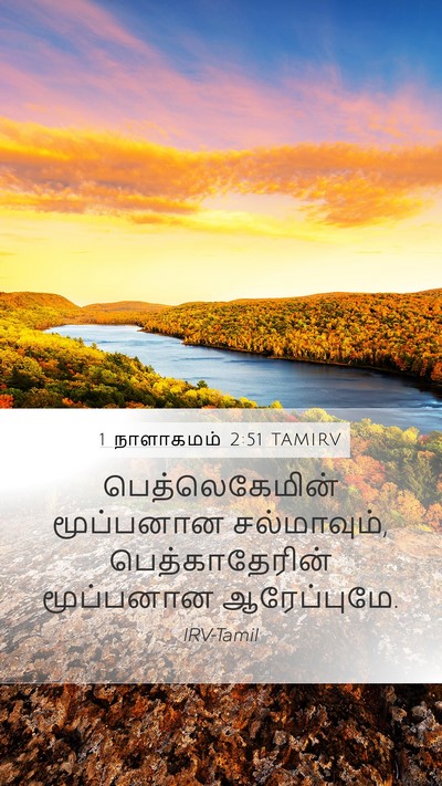 1 நாளாகமம் 2:51 TAMIRV Mobile Phone Wallpaper - பெத்லெகேமின் - Mobile Bible Verse Wallpaper