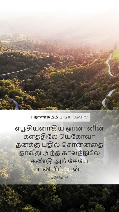 1 நாளாகமம் 21:28 TAMIRV Mobile Phone Wallpaper - எபூசியனாகிய - Mobile Bible Verse Wallpaper