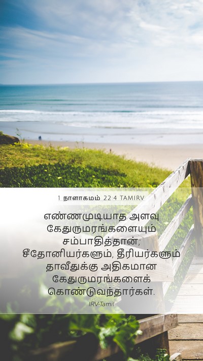1 நாளாகமம் 22:4 TAMIRV Bible Verse Image