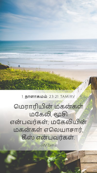 1 நாளாகமம் 23:21 TAMIRV Bible Verse Image