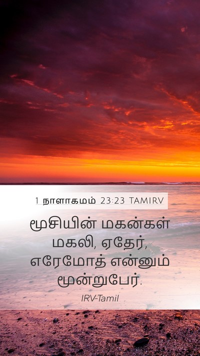 1 நாளாகமம் 23:23 TAMIRV Mobile Phone Wallpaper - மூசியின் மகன்கள் - Mobile Bible Verse Wallpaper