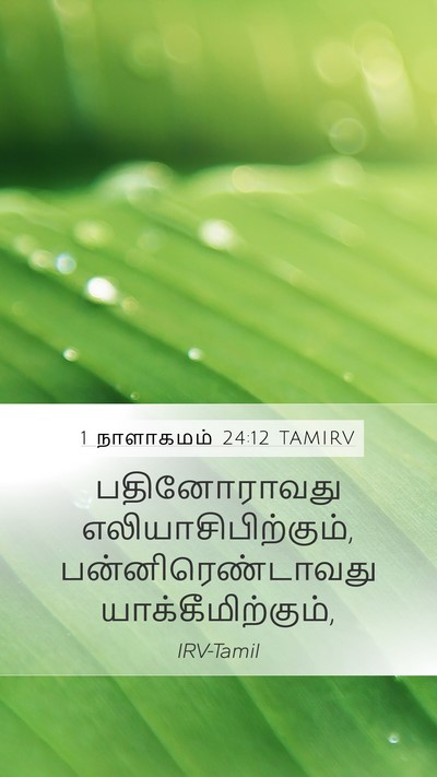 1 நாளாகமம் 24:12 TAMIRV Mobile Phone Wallpaper - பதினோராவது - Mobile Bible Verse Wallpaper