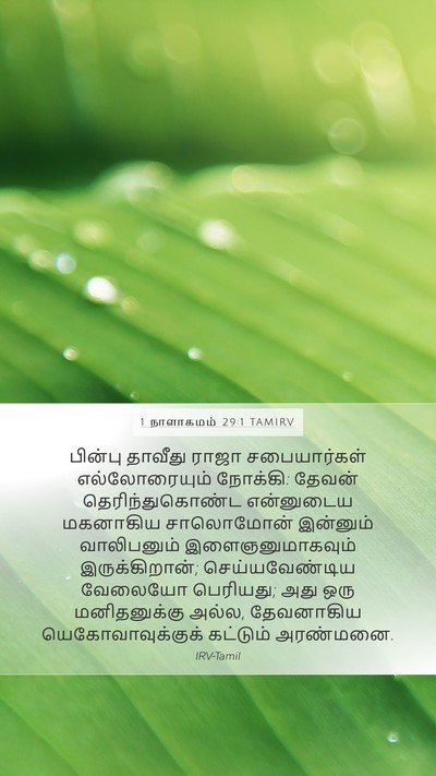 1 நாளாகமம் 29:1 TAMIRV Bible Verse Image