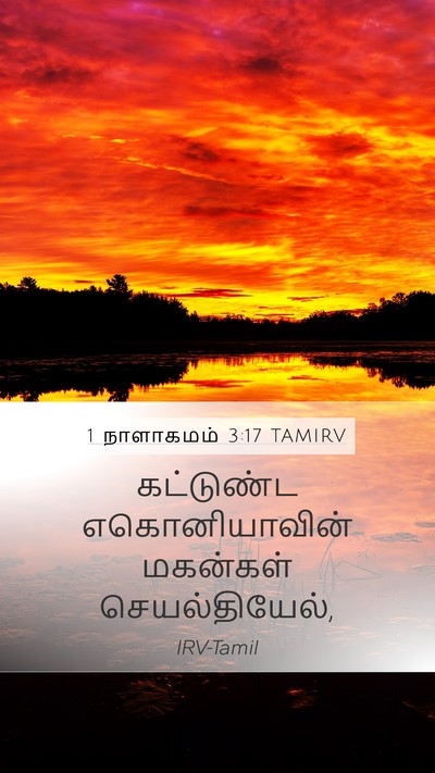 1 நாளாகமம் 3:17 TAMIRV Bible Verse Image