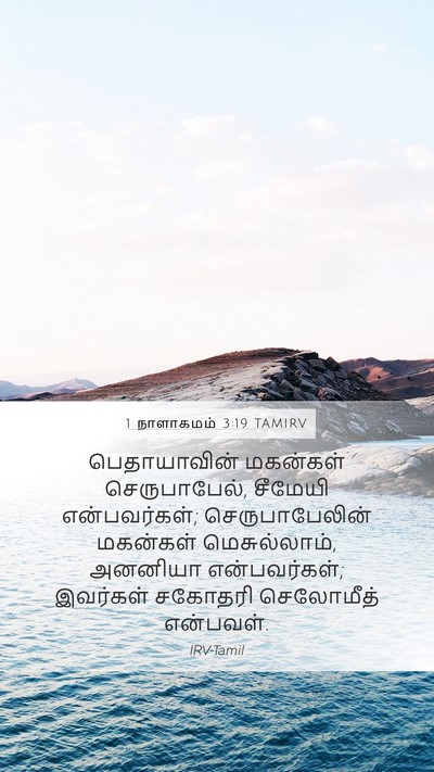 1 நாளாகமம் 3:19 TAMIRV Bible Verse Image