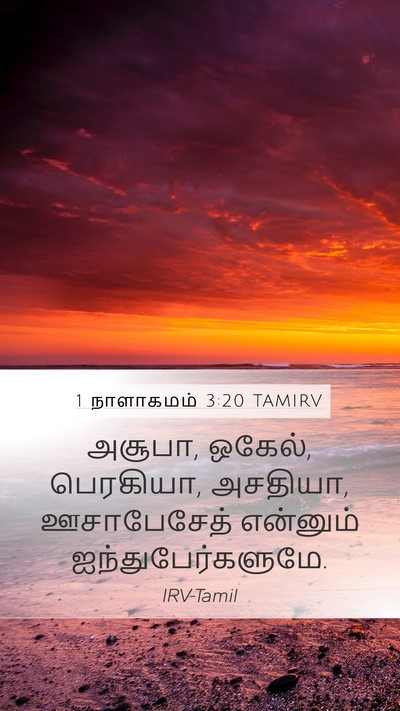 1 நாளாகமம் 3:20 TAMIRV Mobile Phone Wallpaper - அசூபா, ஒகேல், - Mobile Bible Verse Wallpaper