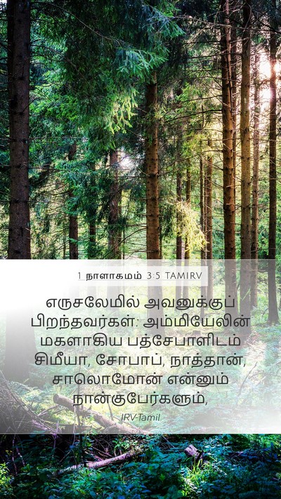 1 நாளாகமம் 3:5 TAMIRV Bible Verse Image