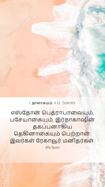 1 நாளாகமம் 4:12 TAMIRV Mobile Phone Wallpaper - எஸ்தோன் - Mobile Bible Verse Wallpaper
