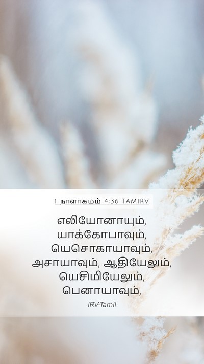 1 நாளாகமம் 4:36 TAMIRV Mobile Phone Wallpaper - எலியோனாயும், - Mobile Bible Verse Wallpaper