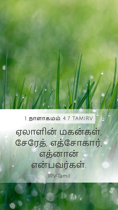 1 நாளாகமம் 4:7 TAMIRV Mobile Phone Wallpaper - ஏலாளின் மகன்கள், - Mobile Bible Verse Wallpaper