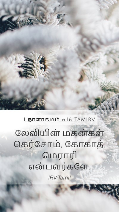 1 நாளாகமம் 6:16 TAMIRV Bible Verse Image
