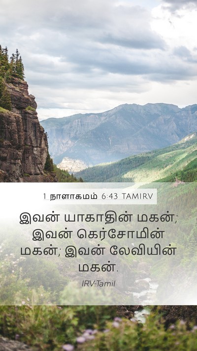 1 நாளாகமம் 6:43 TAMIRV Mobile Phone Wallpaper - இவன் யாகாதின் - Mobile Bible Verse Wallpaper