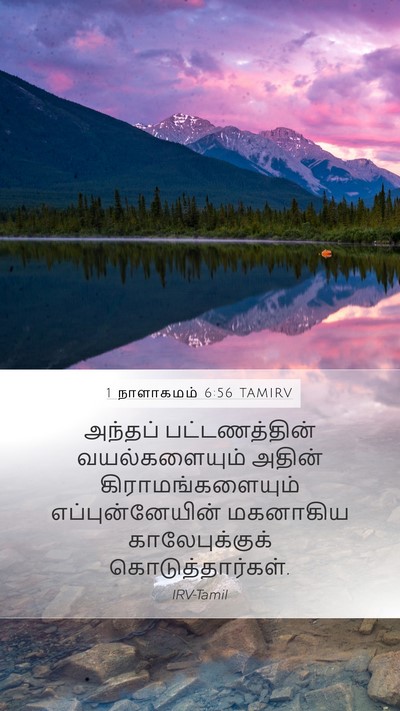 1 நாளாகமம் 6:56 TAMIRV Mobile Phone Wallpaper - அந்தப் - Mobile Bible Verse Wallpaper