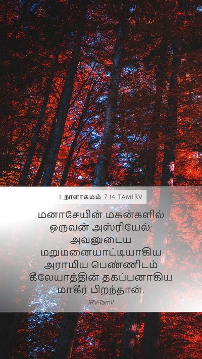 1 நாளாகமம் 7:14 TAMIRV Bible Verse Image