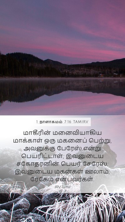1 நாளாகமம் 7:16 TAMIRV Mobile Phone Wallpaper - மாகீரின் - Mobile Bible Verse Wallpaper