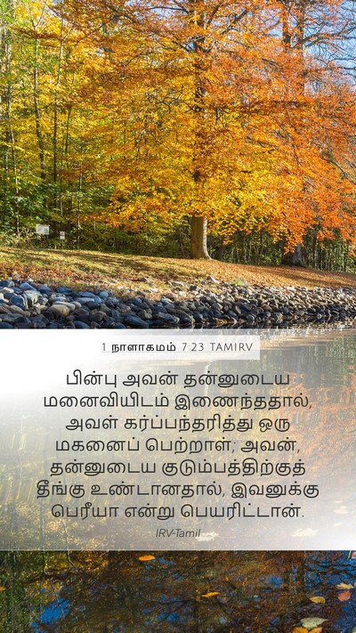 1 நாளாகமம் 7:23 TAMIRV Mobile Phone Wallpaper - பின்பு அவன் - Mobile Bible Verse Wallpaper