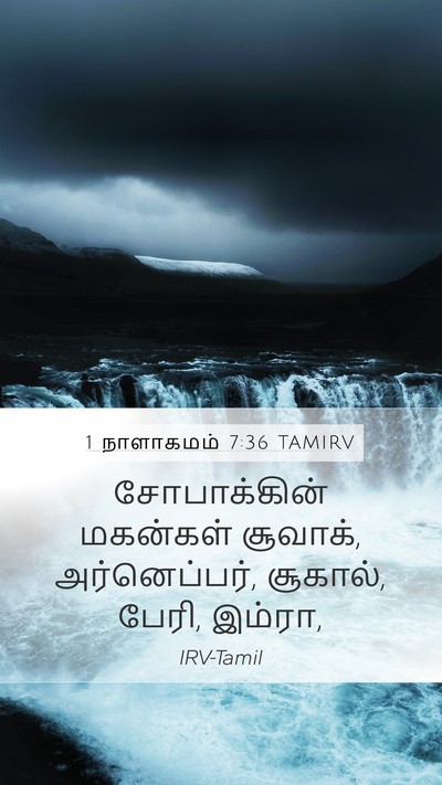 1 நாளாகமம் 7:36 TAMIRV Mobile Phone Wallpaper - சோபாக்கின் - Mobile Bible Verse Wallpaper