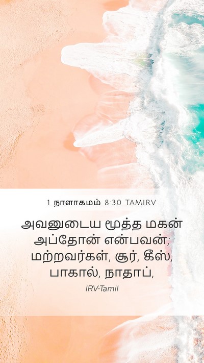 1 நாளாகமம் 8:30 TAMIRV Mobile Phone Wallpaper - அவனுடைய மூத்த - Mobile Bible Verse Wallpaper