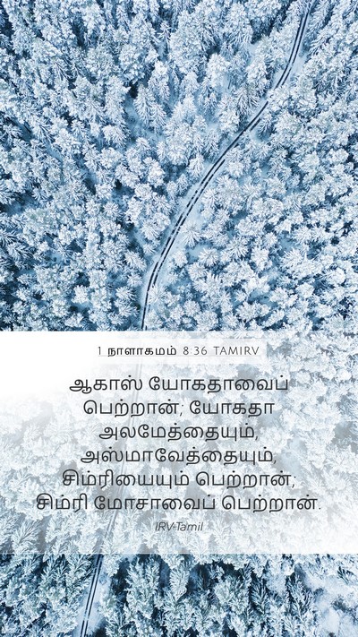 1 நாளாகமம் 8:36 TAMIRV Bible Verse Image