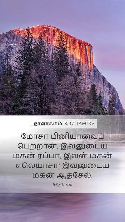 1 நாளாகமம் 8:37 TAMIRV Mobile Phone Wallpaper - மோசா பினியாவைப் - Mobile Bible Verse Wallpaper