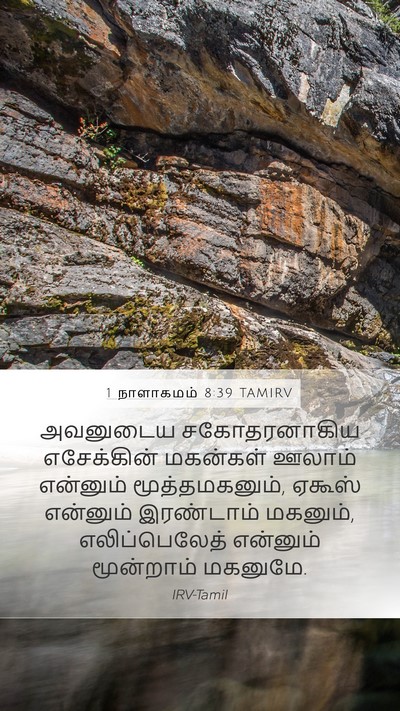 1 நாளாகமம் 8:39 TAMIRV Mobile Phone Wallpaper - அவனுடைய - Mobile Bible Verse Wallpaper