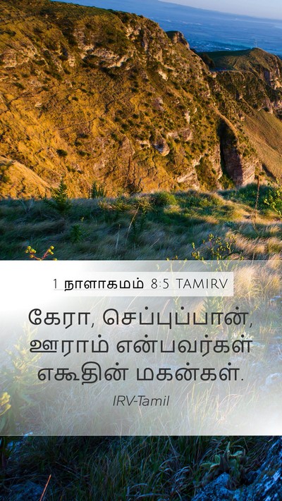 1 நாளாகமம் 8:5 TAMIRV Mobile Phone Wallpaper - கேரா, - Mobile Bible Verse Wallpaper