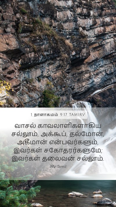 1 நாளாகமம் 9:17 TAMIRV Bible Verse Image