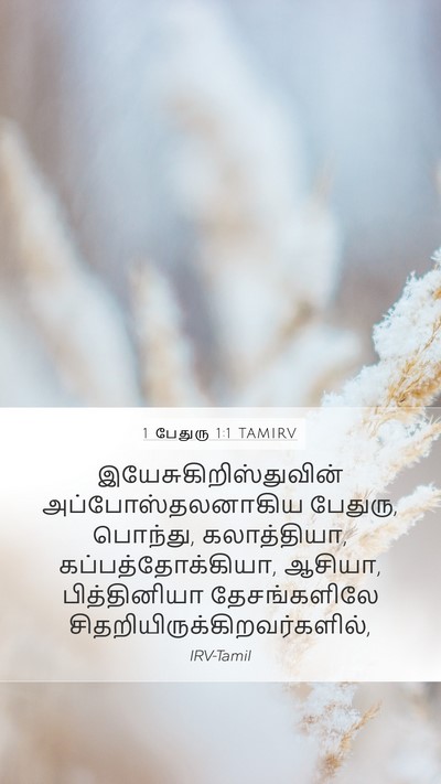 1 பேதுரு 1:1 TAMIRV Bible Verse Image