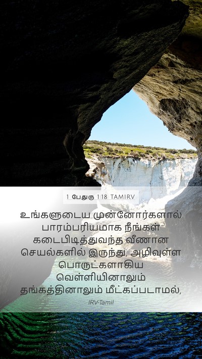 1 பேதுரு 1:18 TAMIRV Bible Verse Image