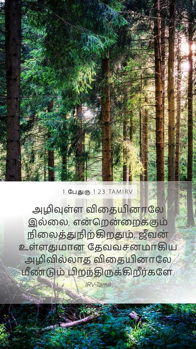 1 பேதுரு 1:23 TAMIRV Bible Verse Image