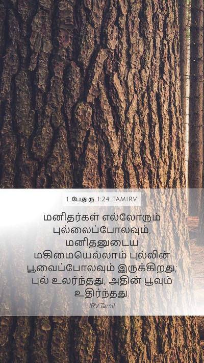 1 பேதுரு 1:24 TAMIRV Bible Verse Image