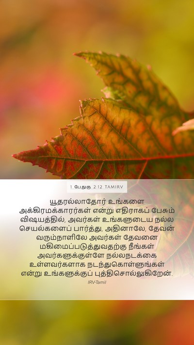 1 பேதுரு 2:12 TAMIRV Bible Verse Image