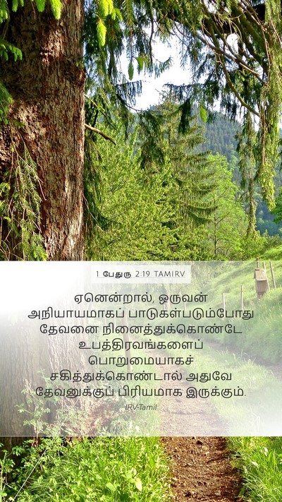 1 பேதுரு 2:19 TAMIRV Bible Verse Image