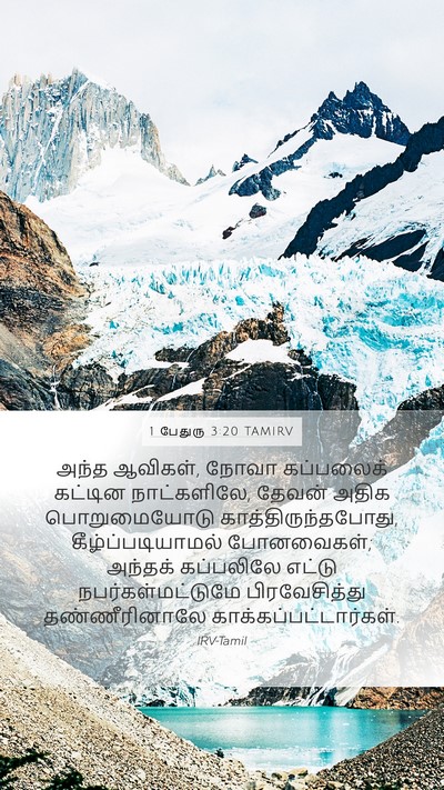 1 பேதுரு 3:20 TAMIRV Bible Verse Image